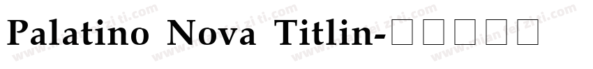 Palatino Nova Titlin字体转换